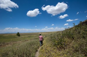 ap-banner