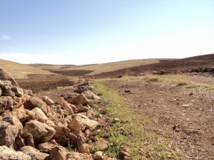 dsc00135