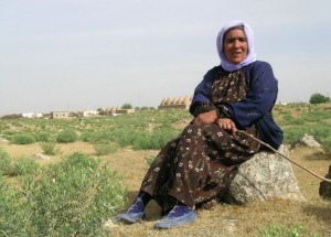 harran-shepherdess