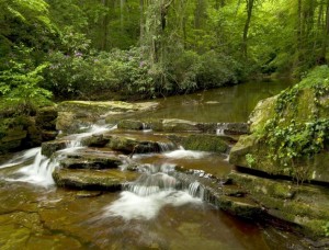 double-springs