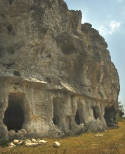 vize-asmakayalar   