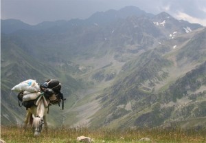mule-above-bulut-valley